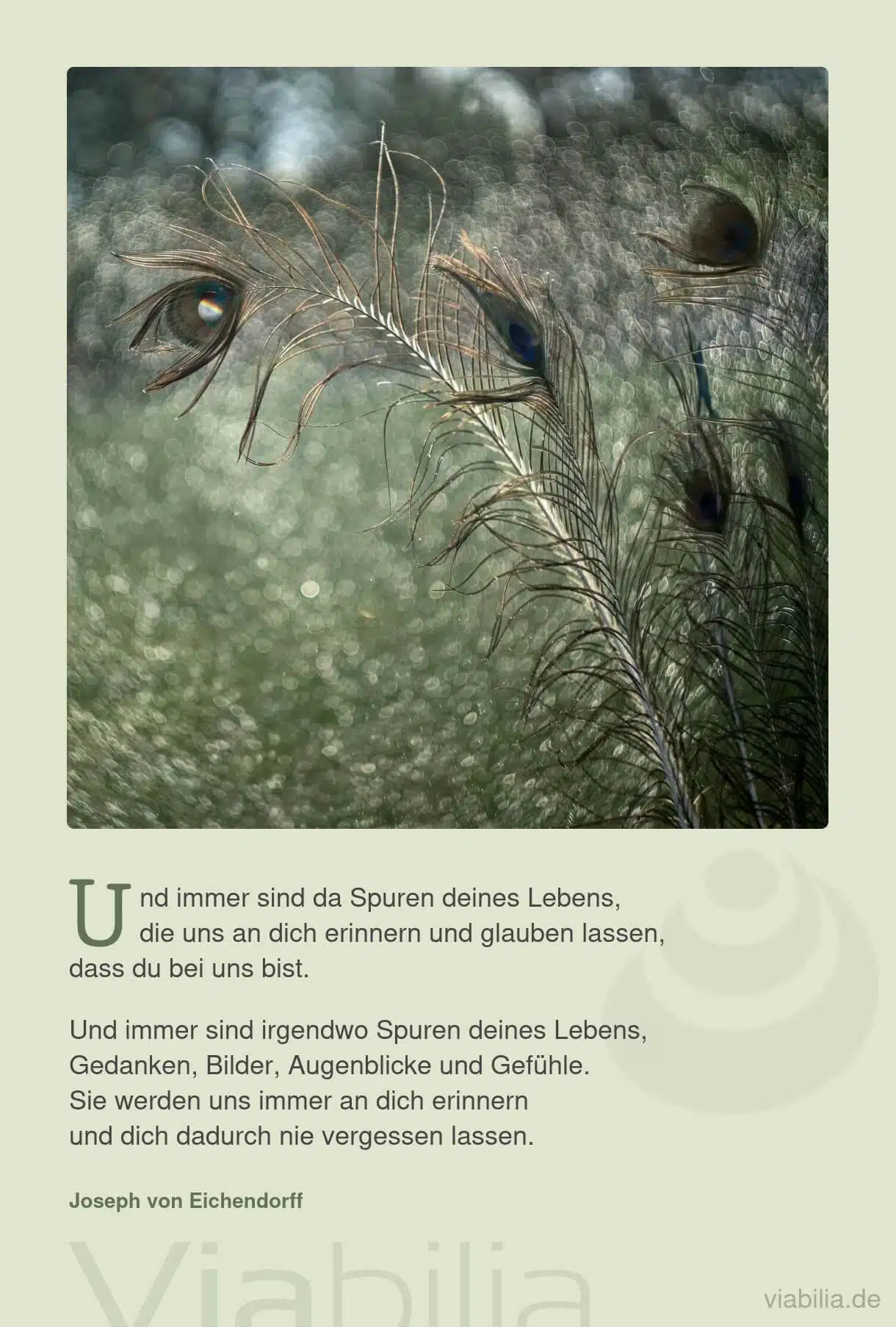 Trauerspruch: Spuren deines Lebens