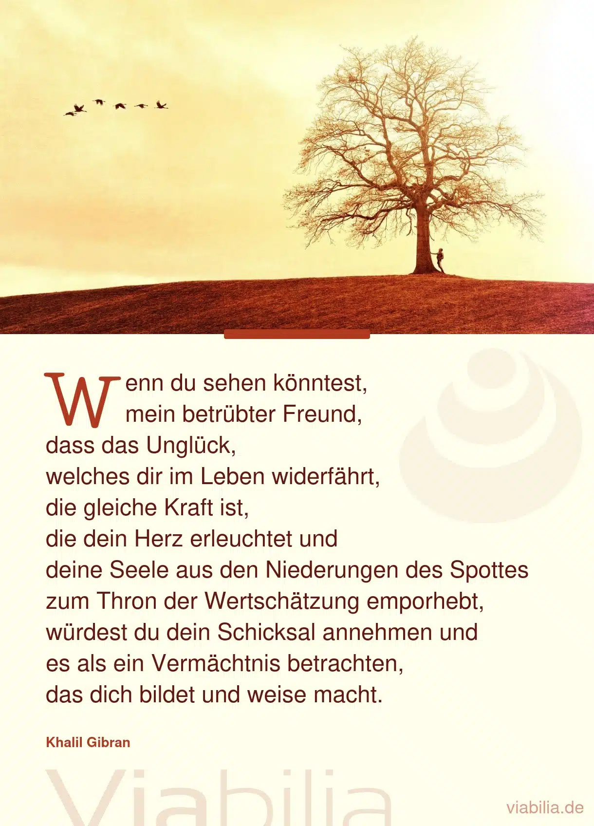 Tröstlicher Spruch von Khalil Gibran