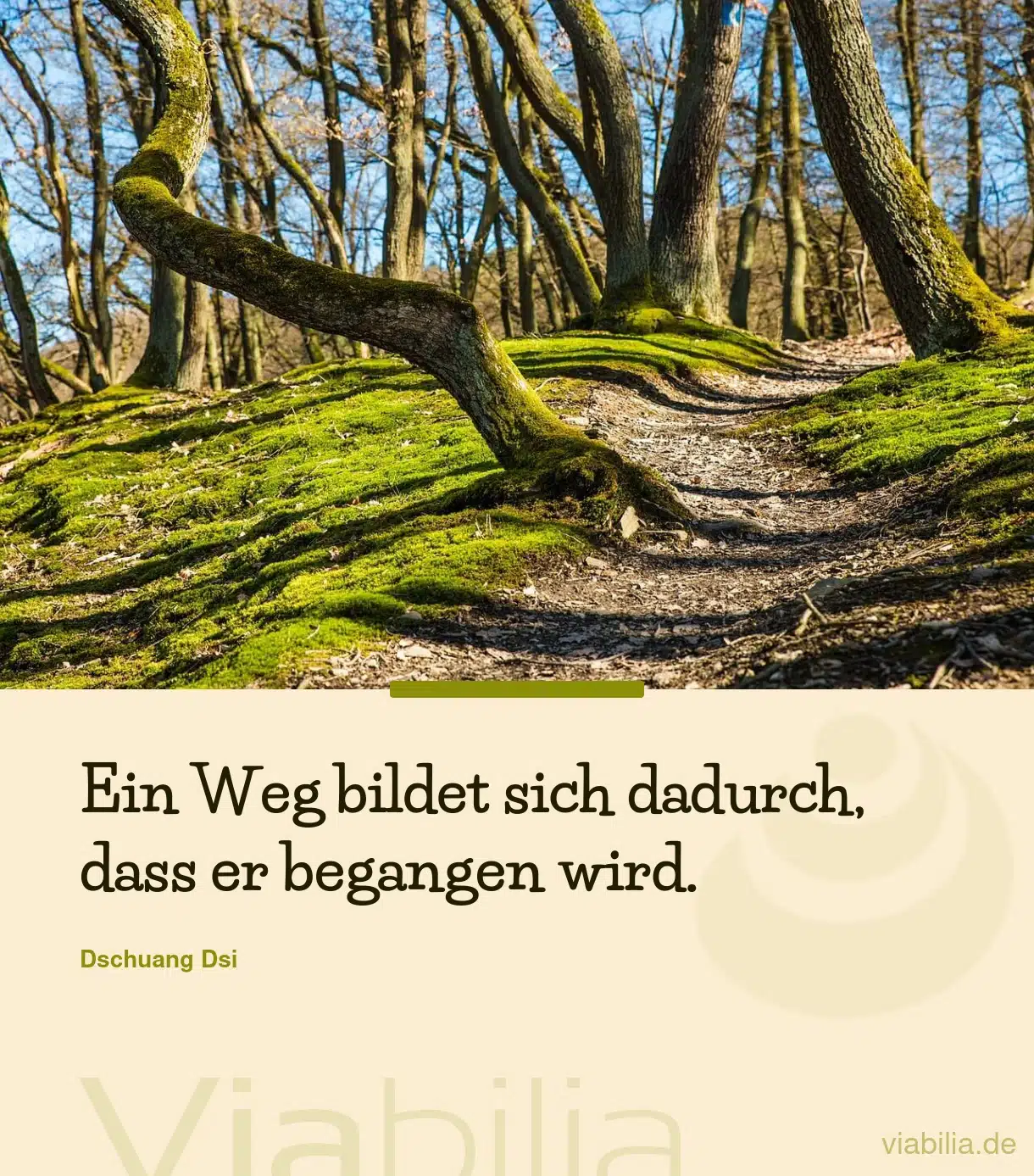 Spruch: Weg durch Gehen bilden