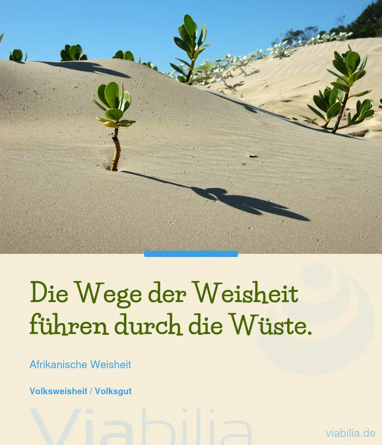 Wege der Weisheit - afrikanisches Sprichwort