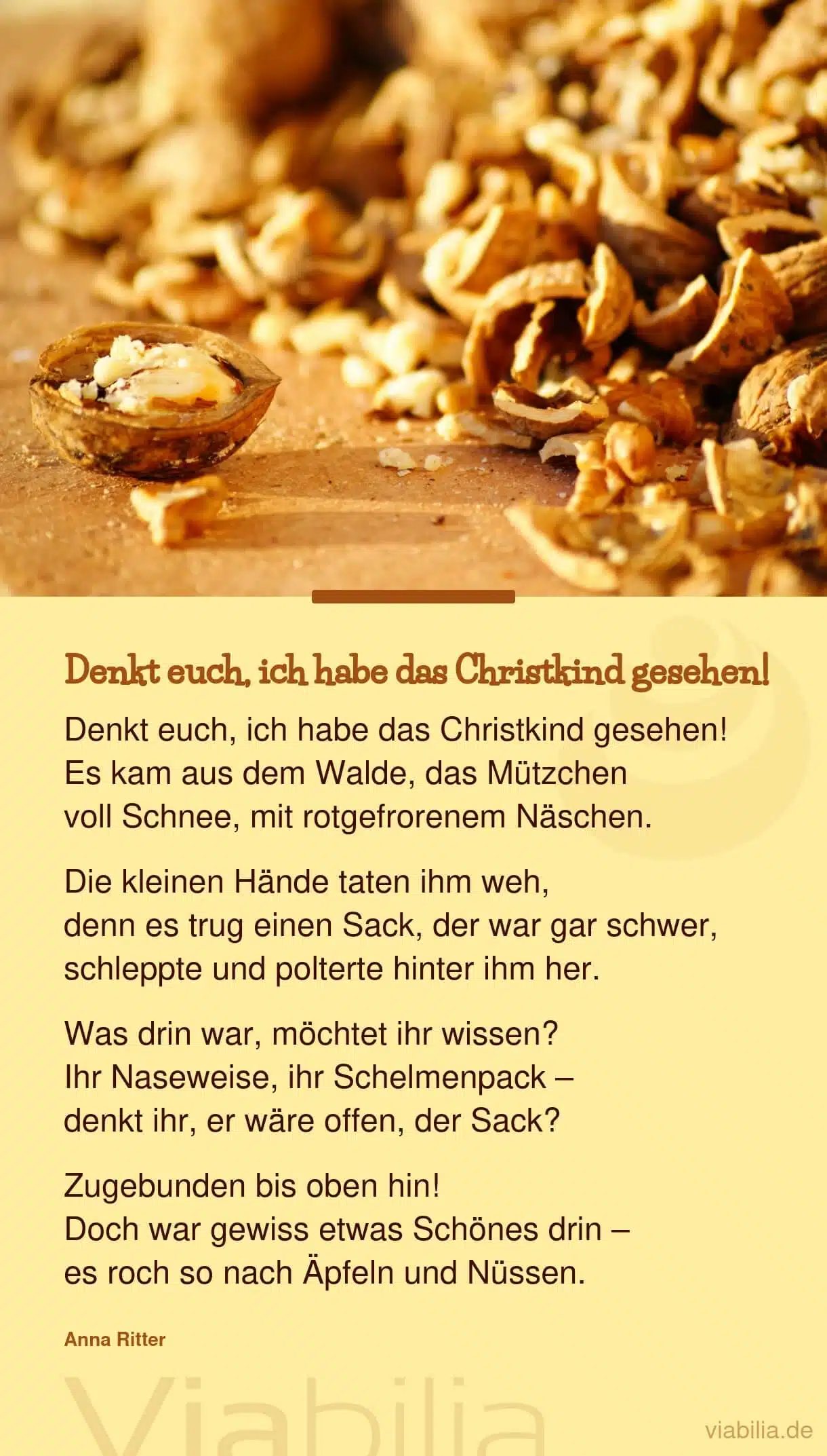 Weihnachtsgedicht für Kinder: das Christkind gesehen