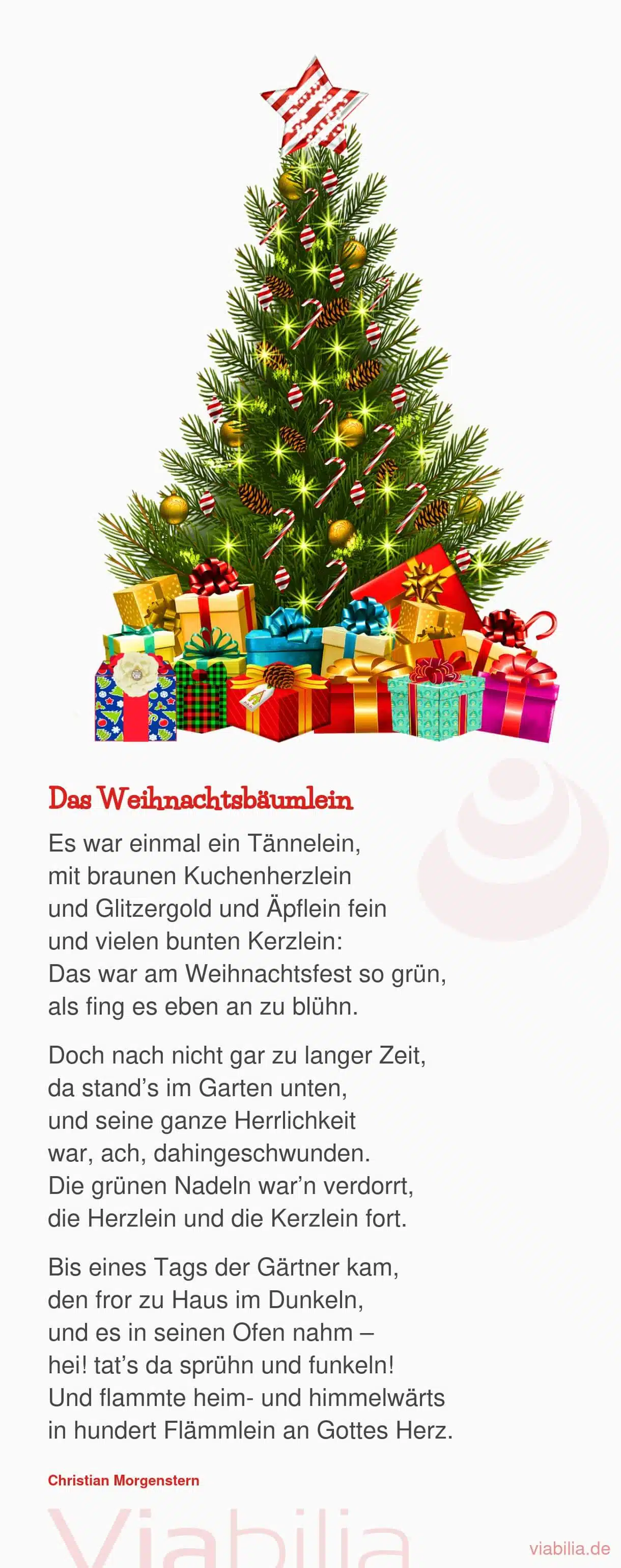 Weihnachtsgedicht  über den Christbaum