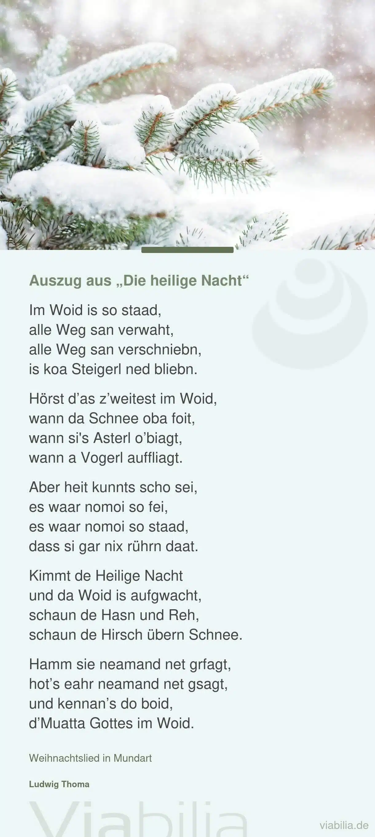 Weihnachtslied: Auszug aus die Heilige Nacht