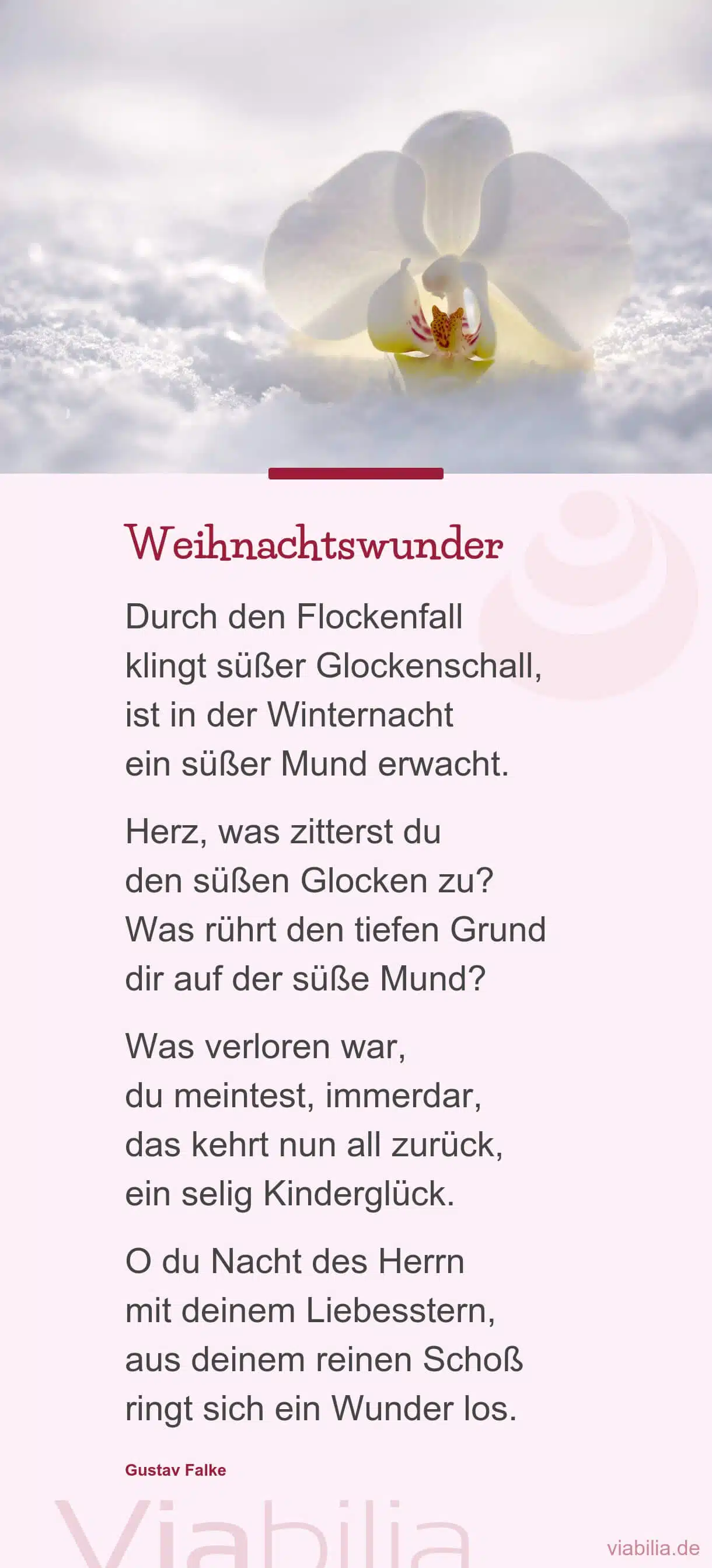 Weihnachtsgedicht am Heiligen Abend: Weihnachtswunder