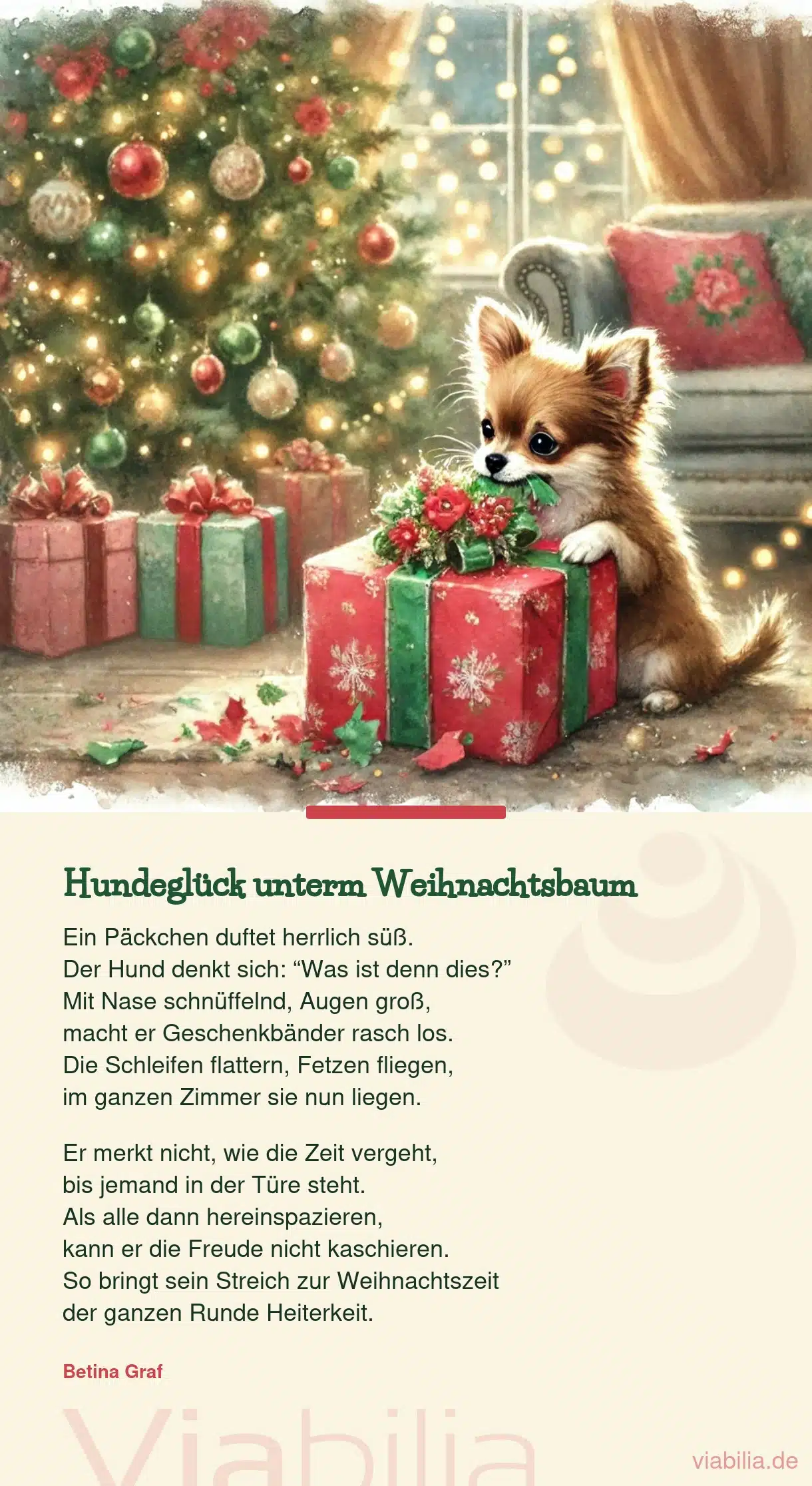 Lustiges Weihnachtsgedicht für Hundefreunde