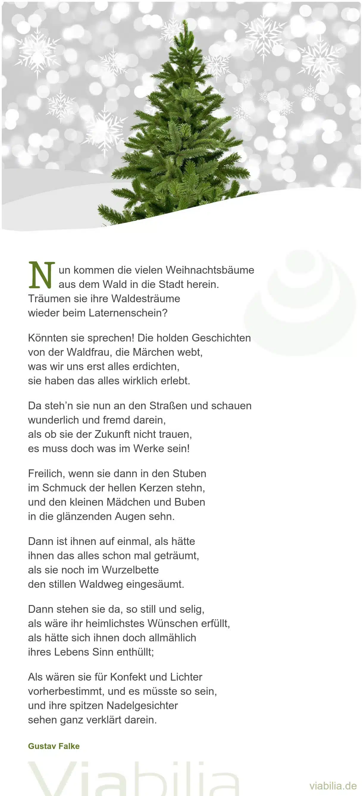 Längeres Adventsgedicht im Advent über Weihnachtsbäume