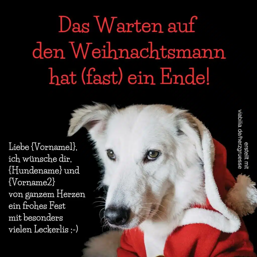 Weihnachtsgrüße für ein frohes Fest