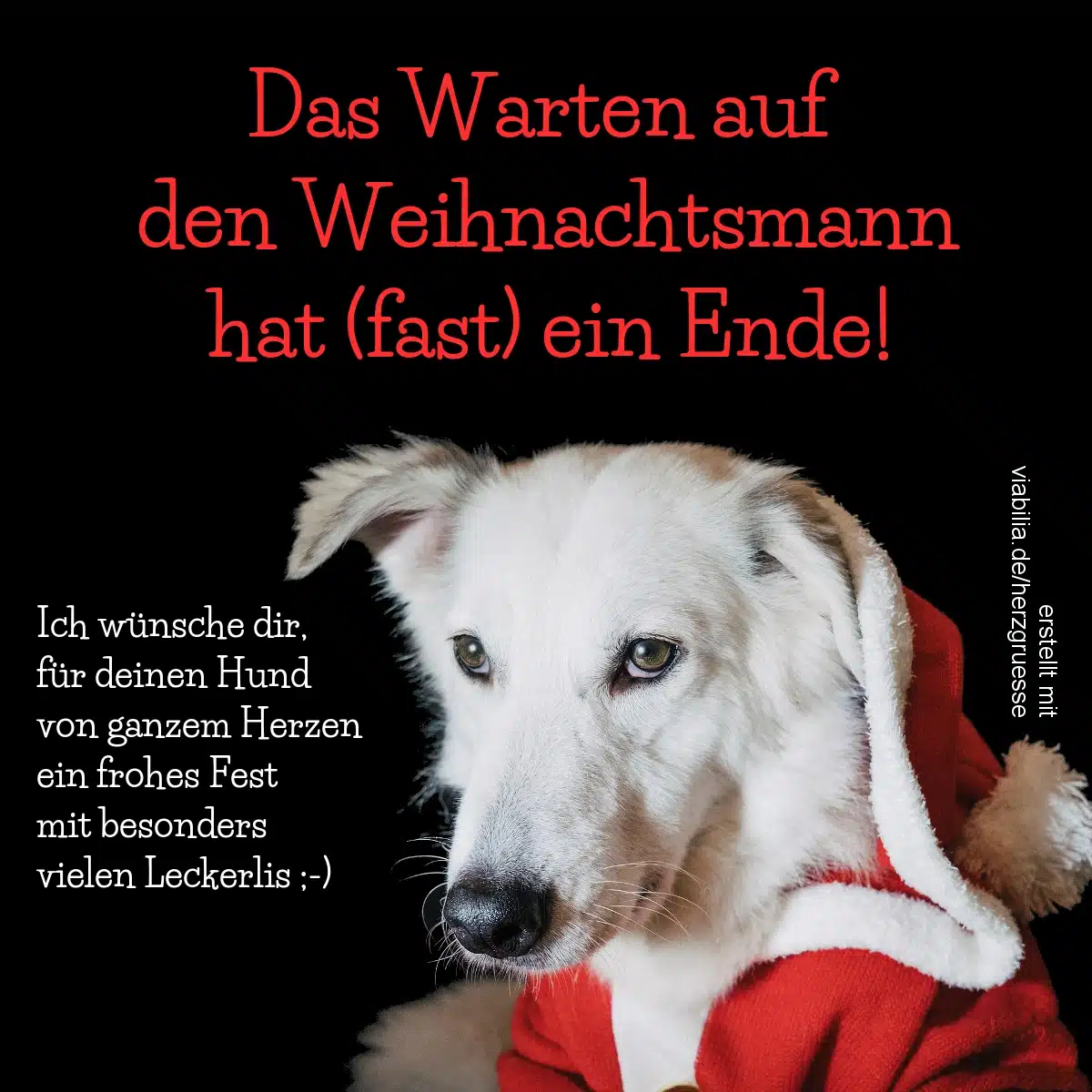 Weihnachtsgruß für Hundeliebhaber