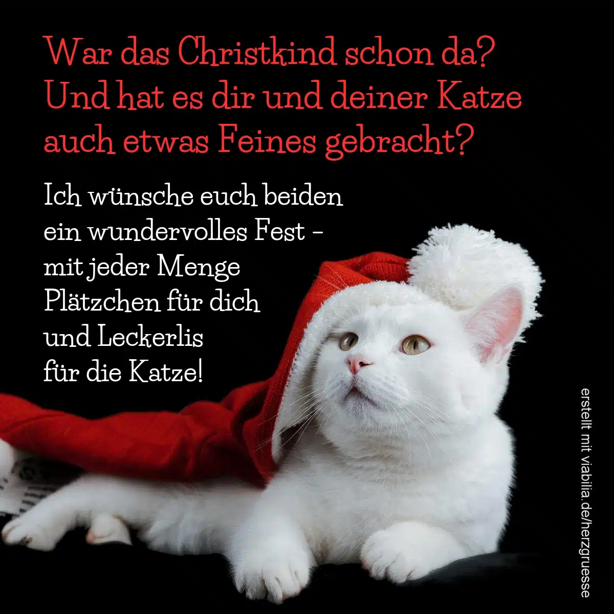 Weihnachtsgrüße für Katzenliebhaber