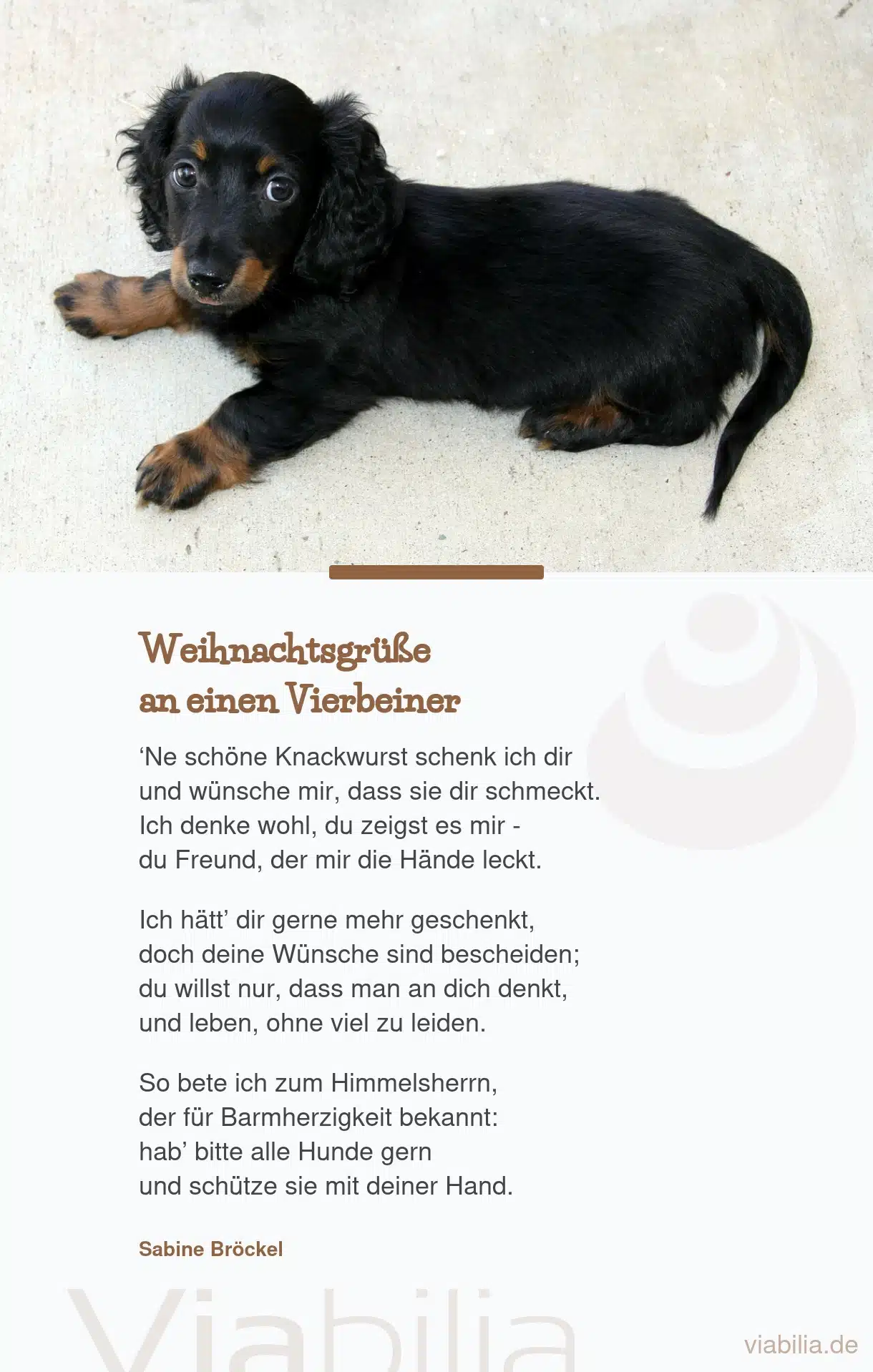 Weihnachtsgedicht für einen Hund