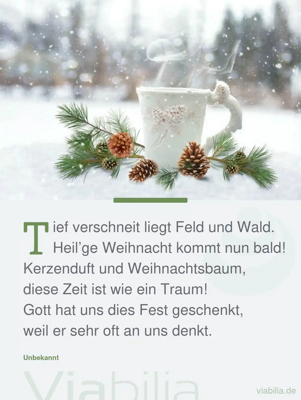 Kurze Weihnachtssprüche, hier Spruch: tief verschneit