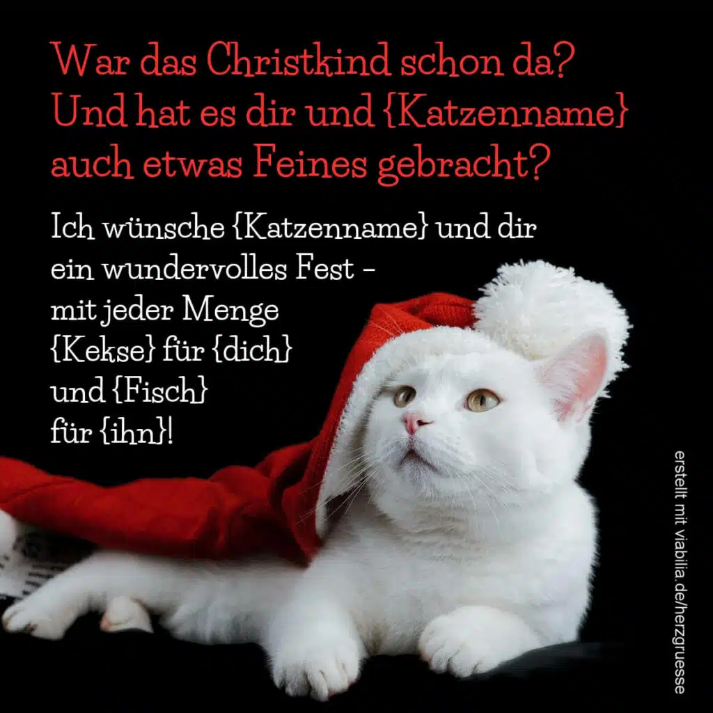 Weihnachtswünsche für Katzen-Liebhaber