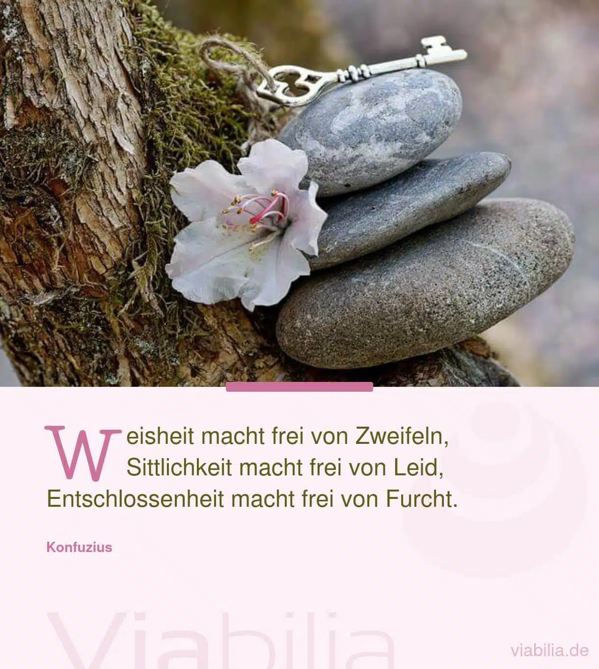 Spruch über Weisheit von Konfuzius