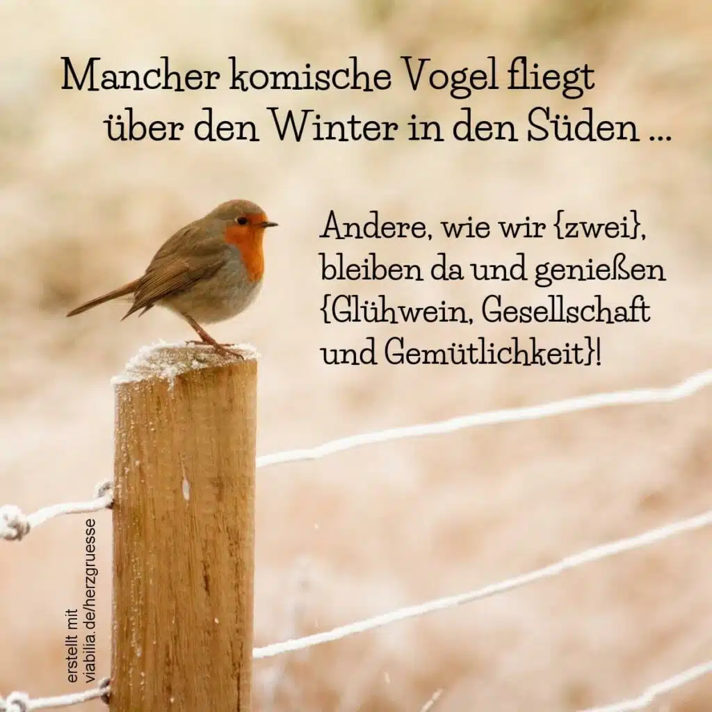 Herzgruß mit Rotkehlchen im Winter