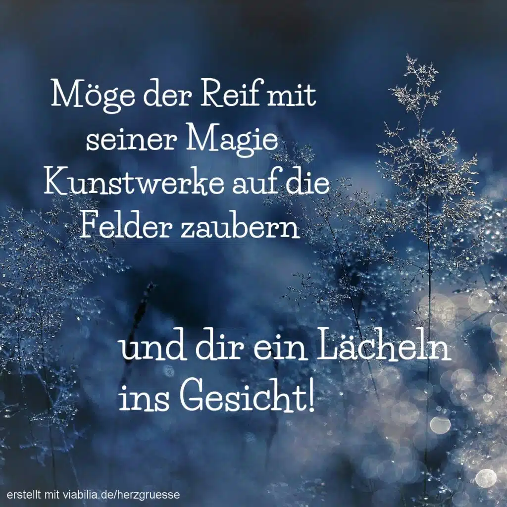 Wintergrüße: Reif mit seiner Magie