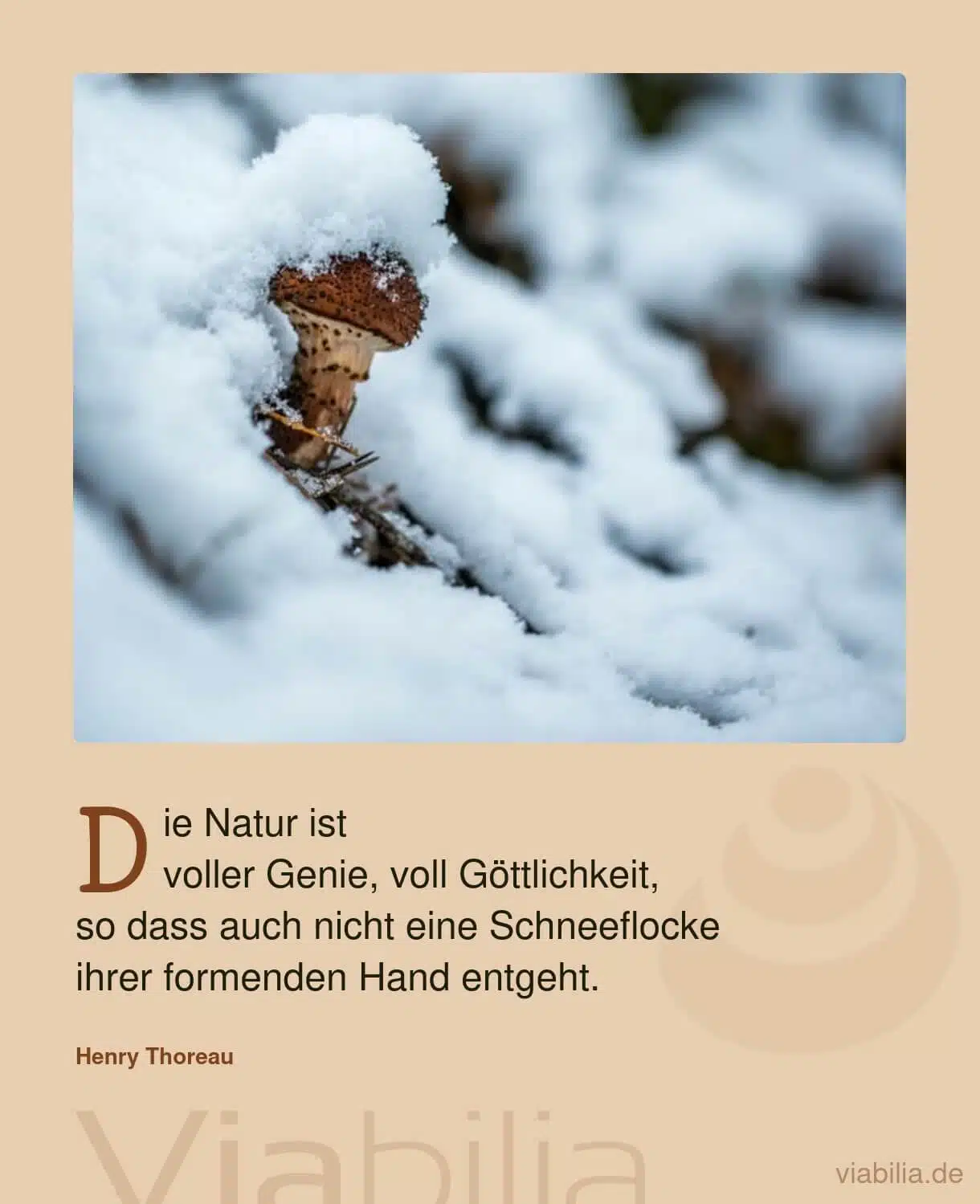 Winterspruch über die Göttlichkeit der Natur